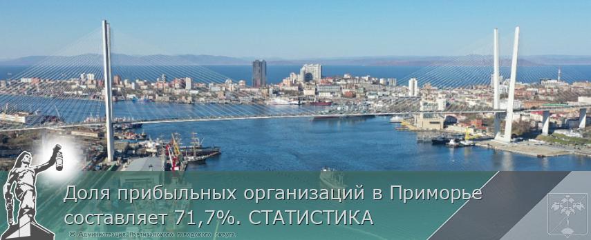 Доля прибыльных организаций в Приморье составляет 71,7%. СТАТИСТИКА | Администрация муниципального округа город Партизанск Приморского края Официальный сайт