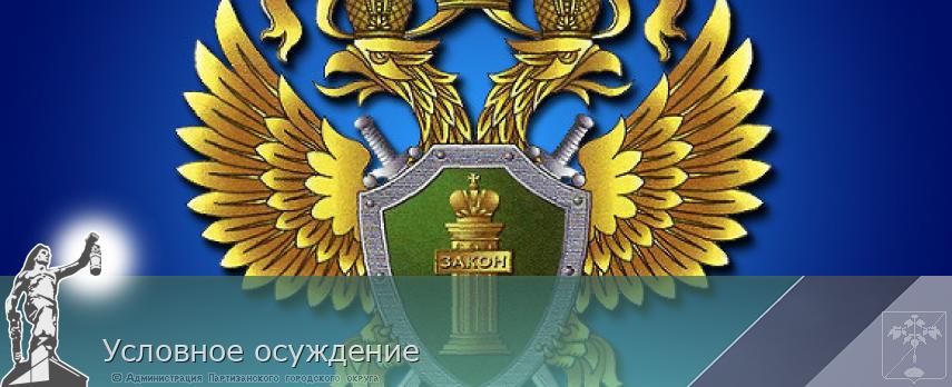 Условное осуждение | Администрация муниципального округа город Партизанск Приморского края Официальный сайт