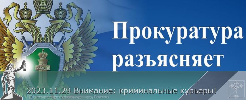 2023.11.29 Внимание: криминальные курьеры! | Администрация муниципального округа город Партизанск Приморского края Официальный сайт