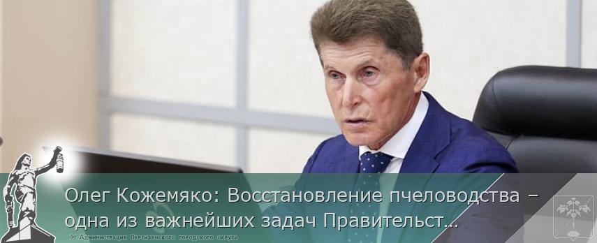 Олег Кожемяко: Восстановление пчеловодства – одна из важнейших задач Правительства края | Администрация муниципального округа город Партизанск Приморского края Официальный сайт Олег Кожемяко: Восстановление пчеловодства – одна из важнейших задач Правительства края | Администрация муниципального округа город Партизанск Приморского края Официальный сайт