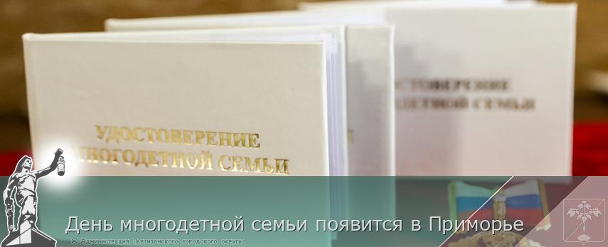 День многодетной семьи появится в Приморье | Администрация муниципального округа город Партизанск Приморского края Официальный сайт День многодетной семьи появится в Приморье | Администрация муниципального округа город Партизанск Приморского края Официальный сайт