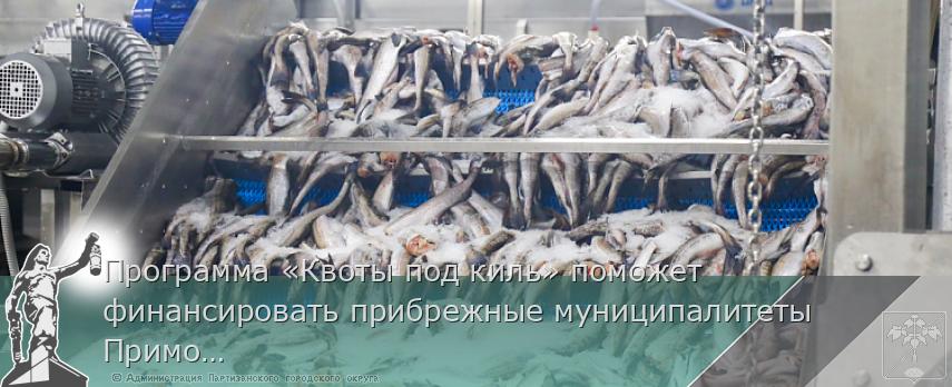 Программа «Квоты под киль» поможет финансировать прибрежные муниципалитеты Приморья | Администрация муниципального округа город Партизанск Приморского края Официальный сайт Программа «Квоты под киль» поможет финансировать прибрежные муниципалитеты Приморья | Администрация муниципального округа город Партизанск Приморского края Официальный сайт