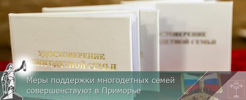 Меры поддержки многодетных семей совершенствуют в Приморье | Администрация муниципального округа город Партизанск Приморского края Официальный сайт Меры поддержки многодетных семей совершенствуют в Приморье | Администрация муниципального округа город Партизанск Приморского края Официальный сайт