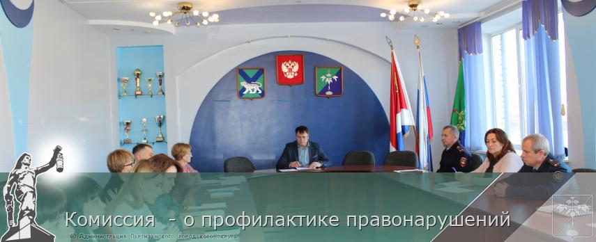 Комиссия  - о профилактике правонарушений | Администрация муниципального округа город Партизанск Приморского края Официальный сайт