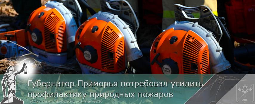 Губернатор Приморья потребовал усилить профилактику природных пожаров | Администрация муниципального округа город Партизанск Приморского края Официальный сайт Губернатор Приморья потребовал усилить профилактику природных пожаров | Администрация муниципального округа город Партизанск Приморского края Официальный сайт
