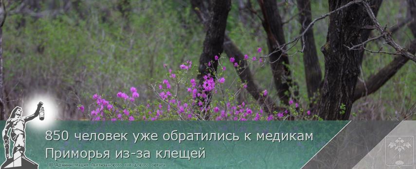 850 человек уже обратились к медикам Приморья из-за клещей | Администрация муниципального округа город Партизанск Приморского края Официальный сайт 850 человек уже обратились к медикам Приморья из-за клещей | Администрация муниципального округа город Партизанск Приморского края Официальный сайт