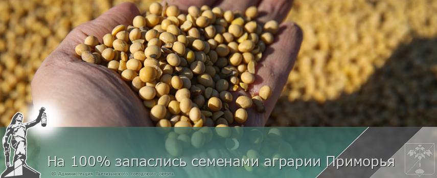 На 100% запаслись семенами аграрии Приморья | Администрация муниципального округа город Партизанск Приморского края Официальный сайт