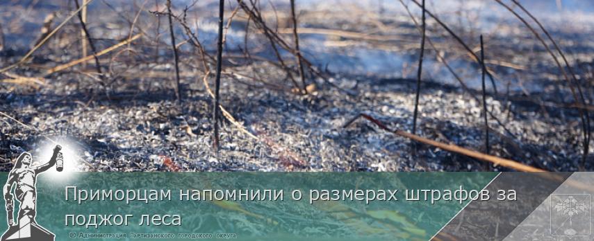 Приморцам напомнили о размерах штрафов за поджог леса | Администрация муниципального округа город Партизанск Приморского края Официальный сайт Приморцам напомнили о размерах штрафов за поджог леса | Администрация муниципального округа город Партизанск Приморского края Официальный сайт