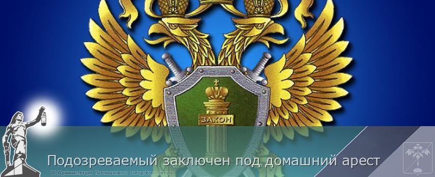 Подозреваемый заключен под домашний арест  | Администрация муниципального округа город Партизанск Приморского края Официальный сайт
