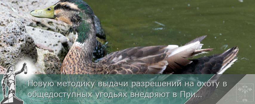 Новую методику выдачи разрешений на охоту в общедоступных угодьях внедряют в Приморье  | Администрация муниципального округа город Партизанск Приморского края Официальный сайт