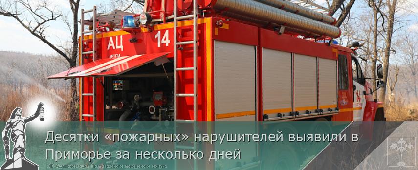 Десятки «пожарных» нарушителей выявили в Приморье за несколько дней | Администрация муниципального округа город Партизанск Приморского края Официальный сайт Десятки «пожарных» нарушителей выявили в Приморье за несколько дней | Администрация муниципального округа город Партизанск Приморского края Официальный сайт