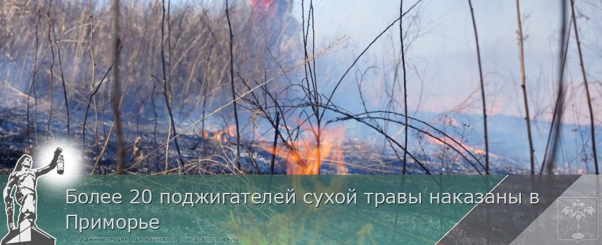 Более 20 поджигателей сухой травы наказаны в Приморье | Администрация муниципального округа город Партизанск Приморского края Официальный сайт Более 20 поджигателей сухой травы наказаны в Приморье | Администрация муниципального округа город Партизанск Приморского края Официальный сайт