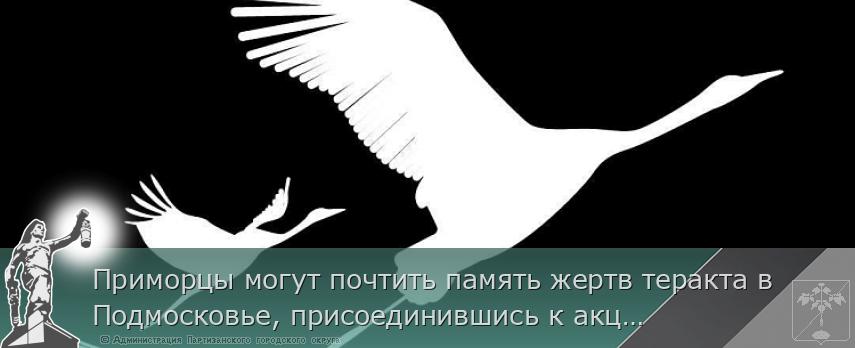 Приморцы могут почтить память жертв теракта в Подмосковье, присоединившись к акции «Журавли» | Администрация муниципального округа город Партизанск Приморского края Официальный сайт Приморцы могут почтить память жертв теракта в Подмосковье, присоединившись к акции «Журавли» | Администрация муниципального округа город Партизанск Приморского края Официальный сайт