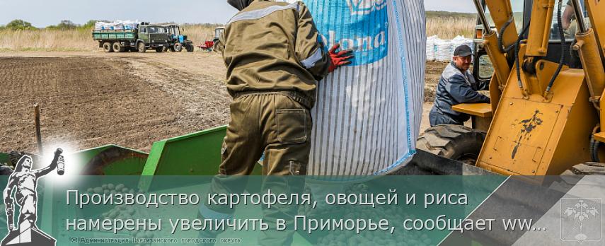 Производство картофеля, овощей и риса намерены увеличить в Приморье, сообщает www.primorsky.ru | Администрация муниципального округа город Партизанск Приморского края Официальный сайт