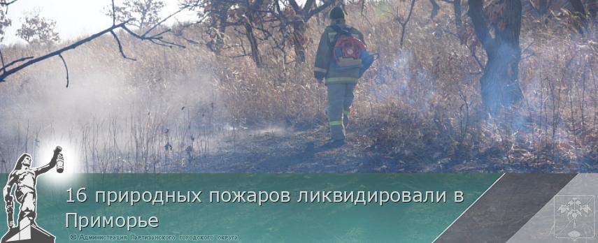 16 природных пожаров ликвидировали в Приморье | Администрация муниципального округа город Партизанск Приморского края Официальный сайт 16 природных пожаров ликвидировали в Приморье | Администрация муниципального округа город Партизанск Приморского края Официальный сайт