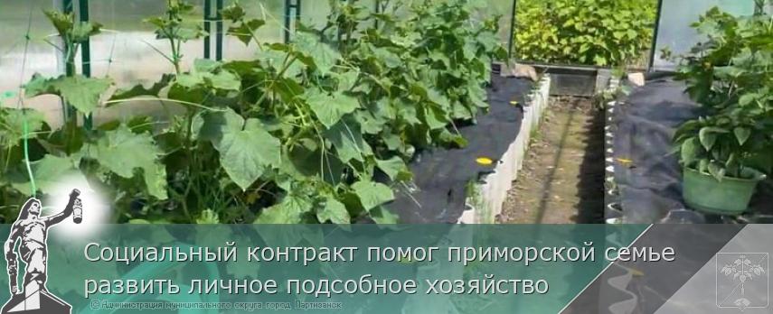 Социальный контракт помог приморской семье развить личное подсобное хозяйство | Администрация муниципального округа город Партизанск Приморского края Официальный сайт Социальный контракт помог приморской семье развить личное подсобное хозяйство | Администрация муниципального округа город Партизанск Приморского края Официальный сайт