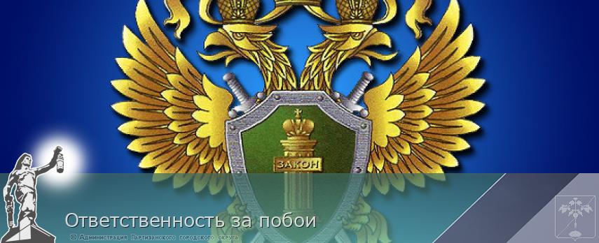 Ответственность за побои | Администрация муниципального округа город Партизанск Приморского края Официальный сайт