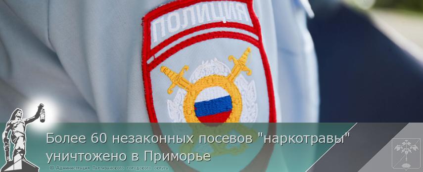 Более 60 незаконных посевов "наркотравы" уничтожено в Приморье | Администрация муниципального округа город Партизанск Приморского края Официальный сайт Более 60 незаконных посевов "наркотравы" уничтожено в Приморье | Администрация муниципального округа город Партизанск Приморского края Официальный сайт
